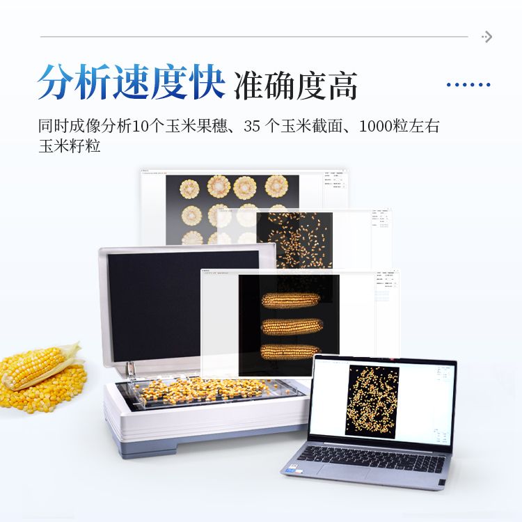 玉米考种分析仪